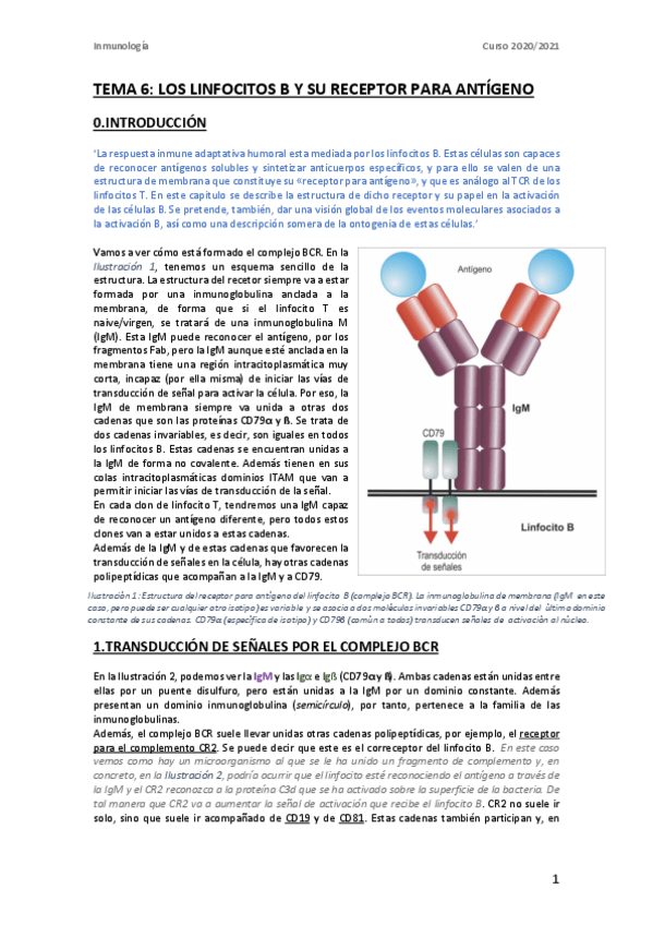 Miniatura del documento InmunoTEMA6.pdf