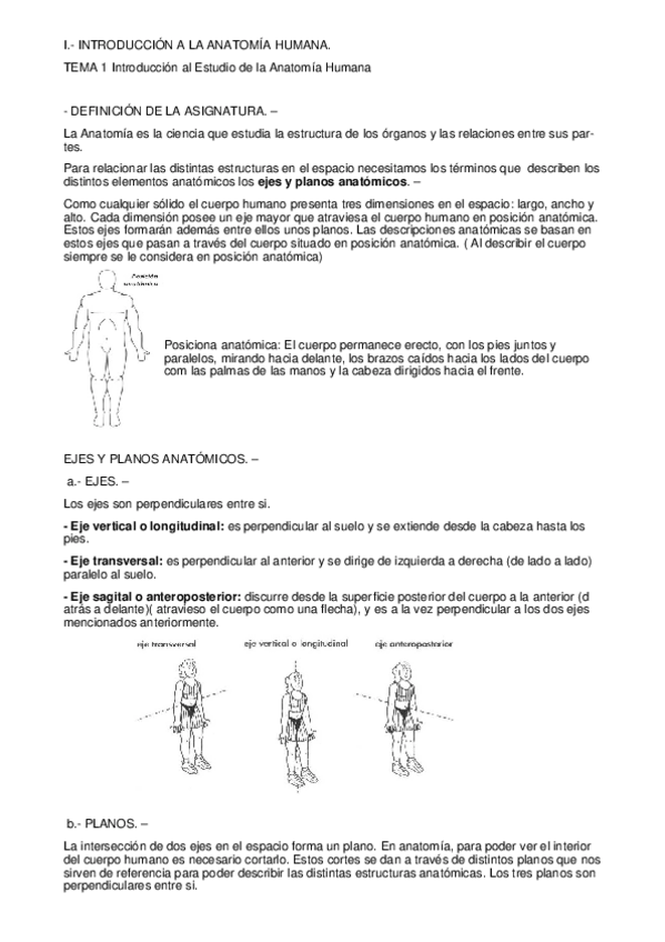 Miniatura del documento TEMA-1-Introduccion-al-Estudio-de-la-Anatomia-Humana.pdf