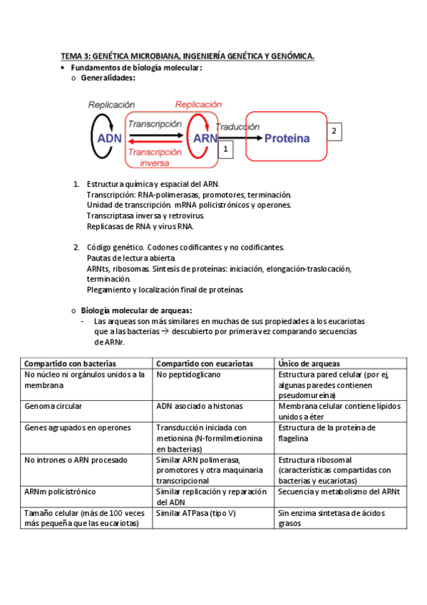 Miniatura del documento TEMA-3.pdf