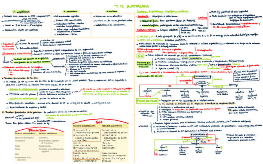 Miniatura del documento Tema-13-Hipotalamo.pdf