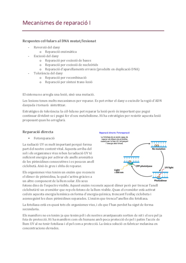 Miniatura del documento 6-Mecanismes-de-reparacio-I.pdf
