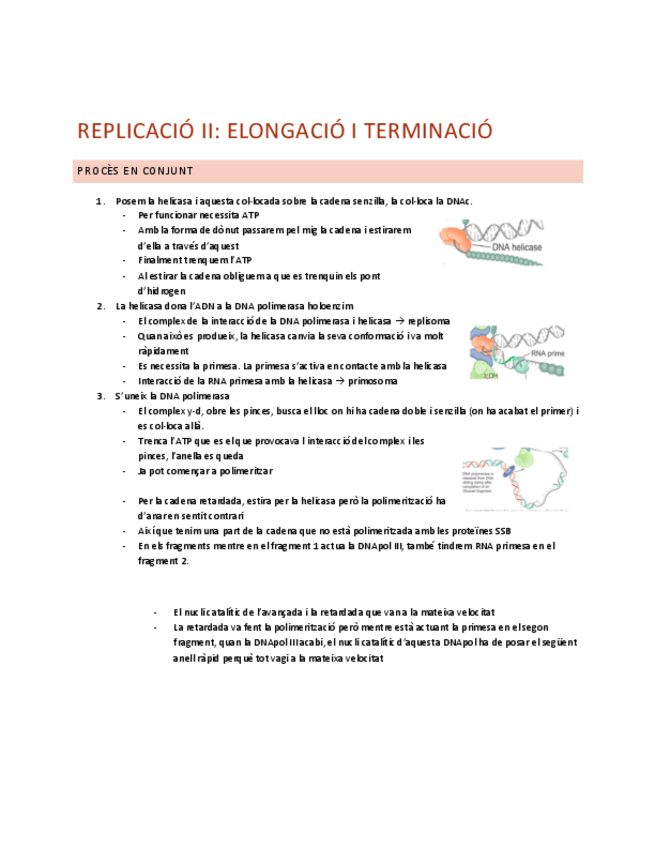 Miniatura del documento gen-mol-replicacio-II.pdf