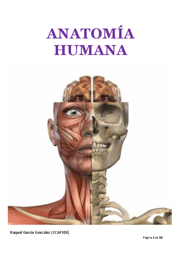 Miniatura del documento ANATOMIA-HUMANA.pdf