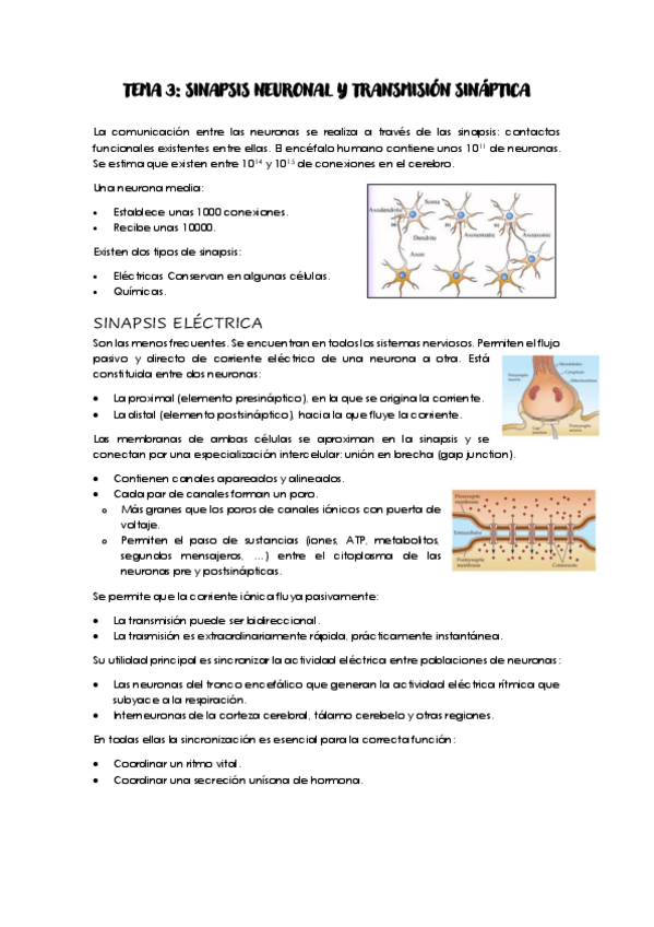 Miniatura del documento F-T3.pdf