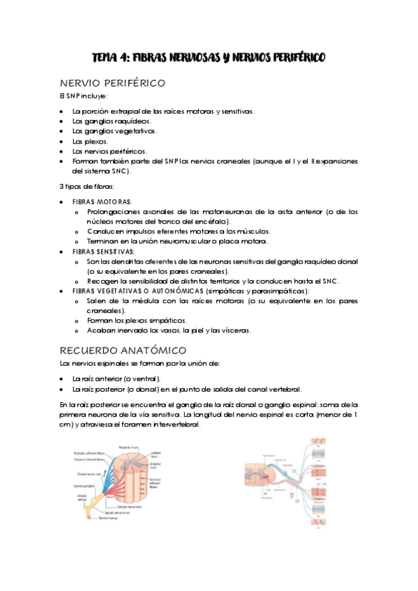 Miniatura del documento F-T4.pdf