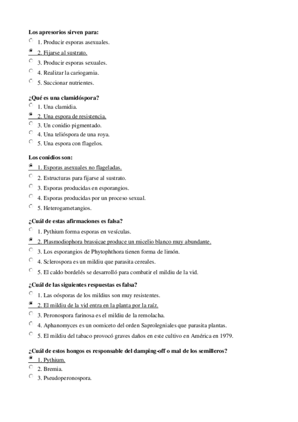 Miniatura del documento preguntas2.pdf