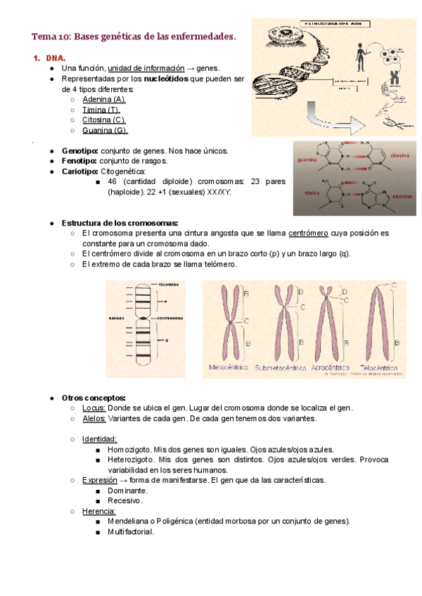 Miniatura del documento Tema-10.pdf