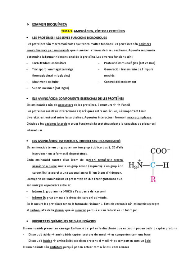 Miniatura del documento Apunts-de-TOT.pdf