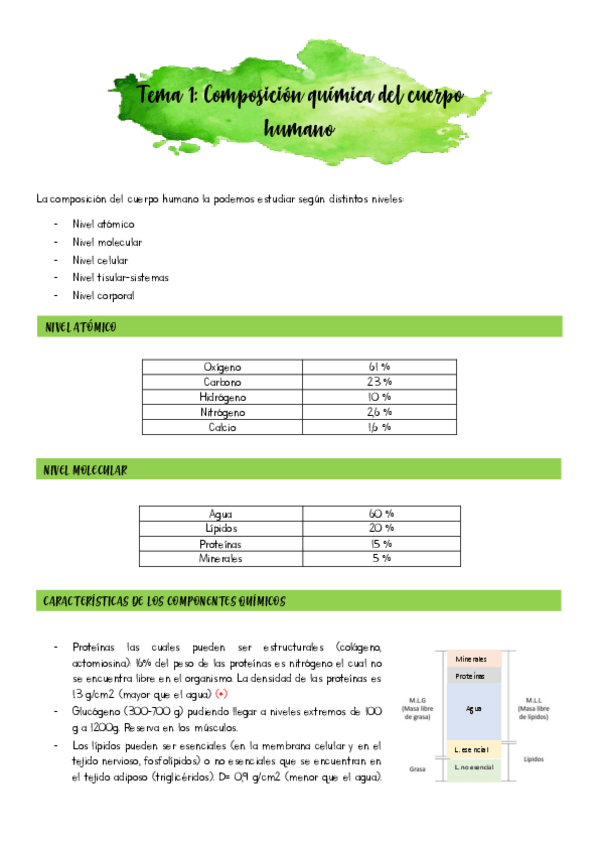 Miniatura del documento Tema-1.pdf