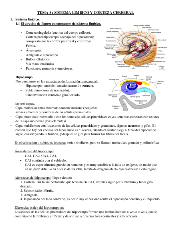 Miniatura del documento Tema-8.pdf