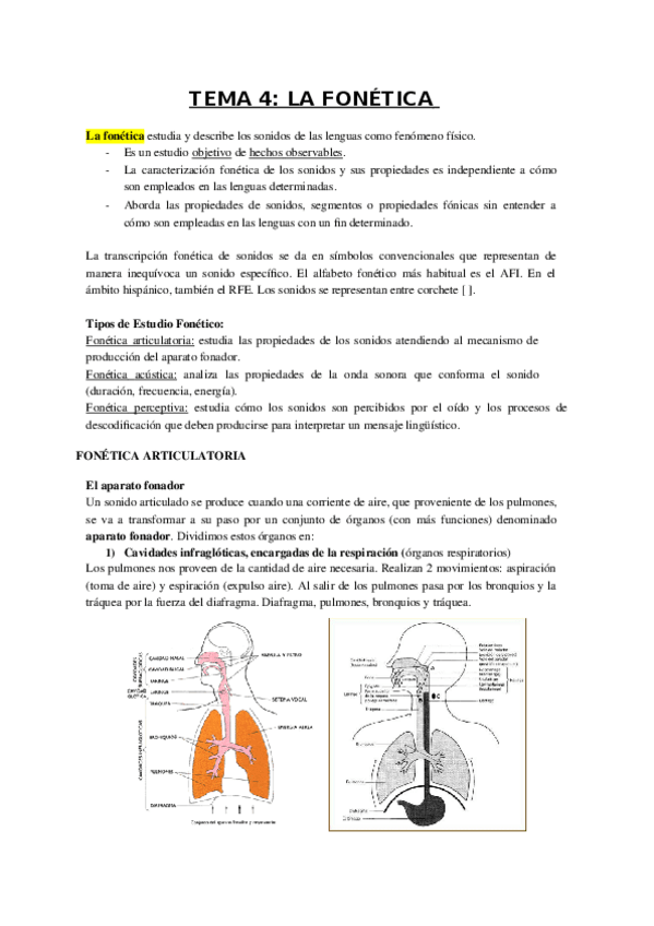 Miniatura del documento TEMA-4-FONETICA.docx