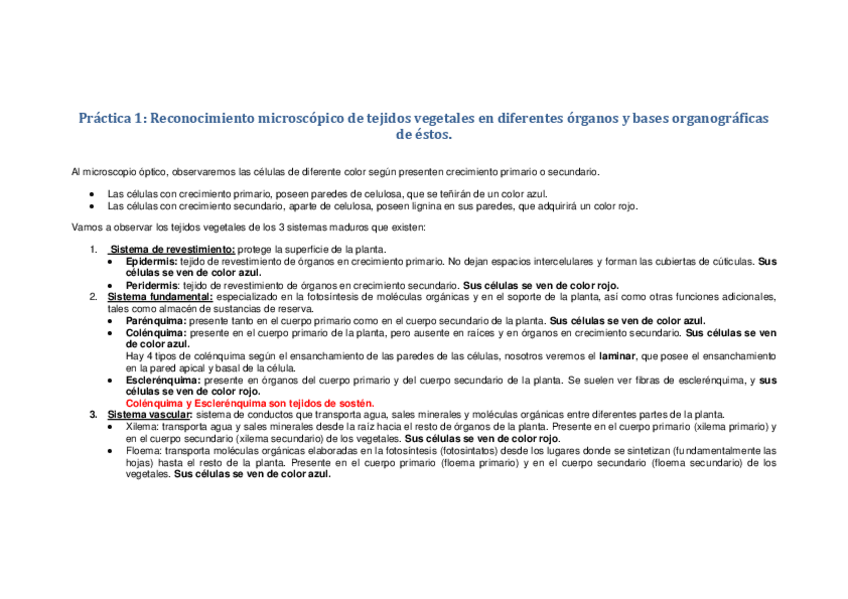 Miniatura del documento merged (4).pdf