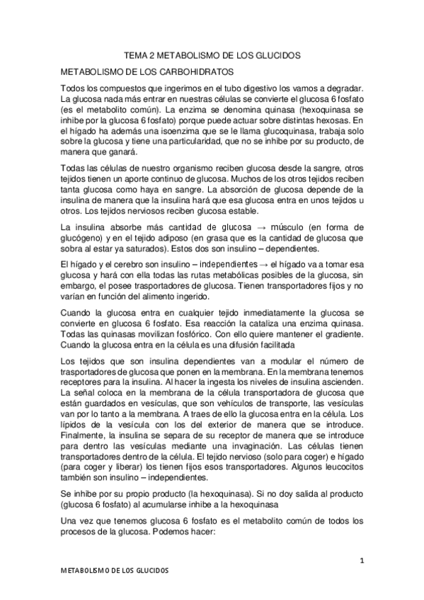 Miniatura del documento TEMA-2-METABOLISMO-DE-LOS-GLUCIDOS.pdf