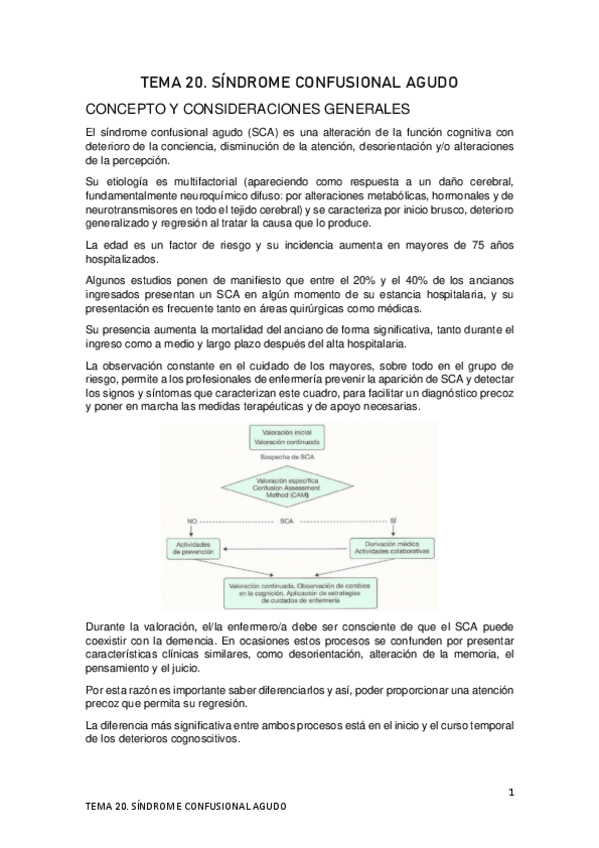 Miniatura del documento TEMA-20.pdf