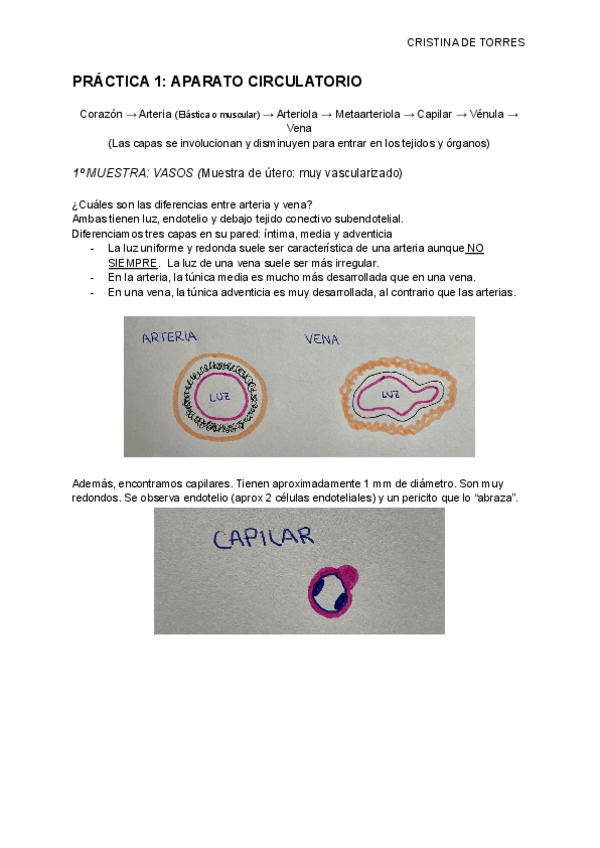 Miniatura del documento PRACTICA-1-APARATO-CIRCULATORIO.pdf