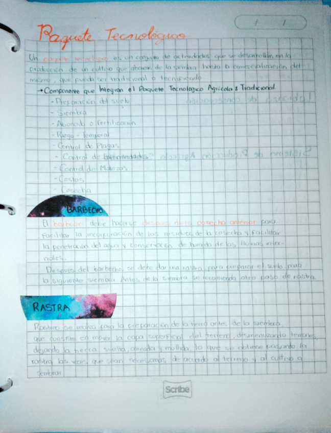 Miniatura del documento Paquete-tecnologico.pdf