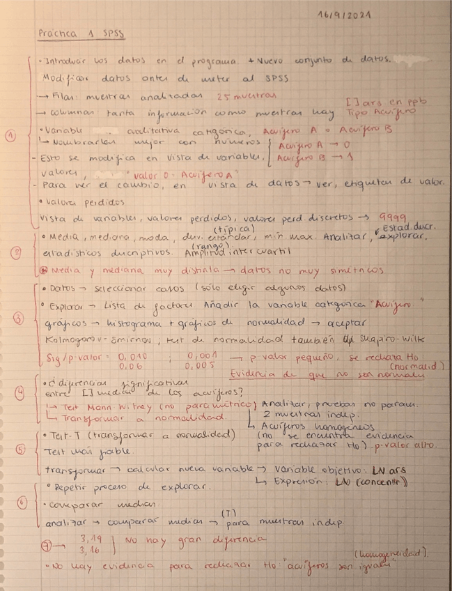 Miniatura del documento Practica0-SPSS.pdf