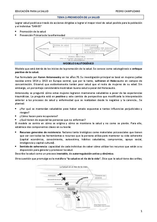 Miniatura del documento TEMA-2-PROMOCION-DE-LA-SALUD.pdf