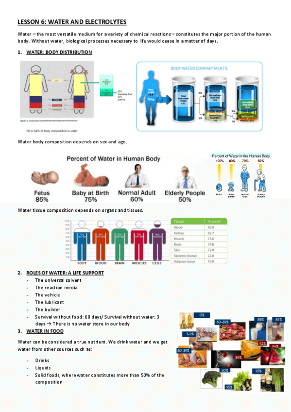 Miniatura del documento LESSON-6.pdf