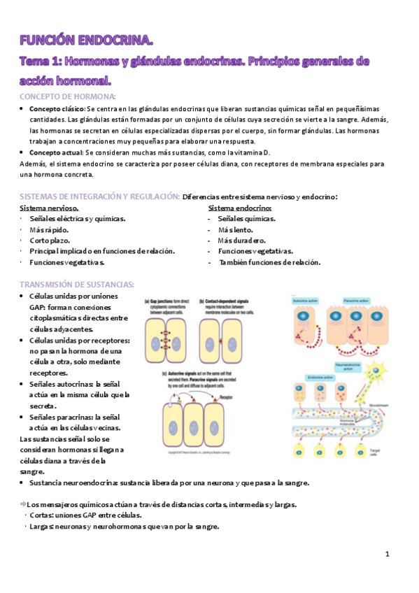 Miniatura del documento FA2 Tema 1.pdf