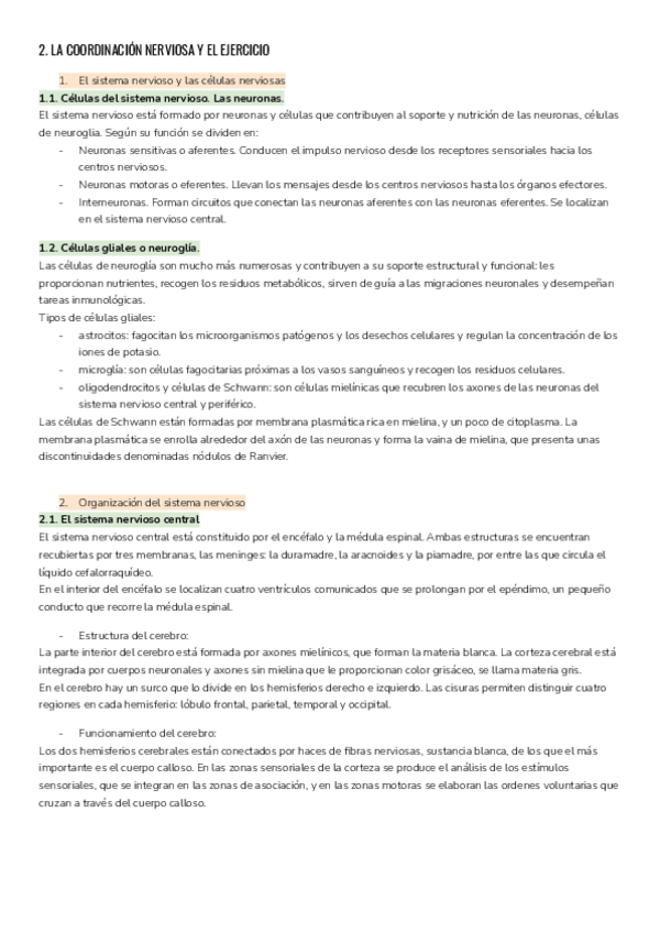 Miniatura del documento Anatomia-T2-LA-COORDINACION-NERVIOSA-Y-EL-EJERCICIO-1.pdf