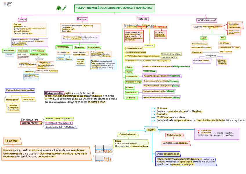 Miniatura del documento Esquemas-Biologia.pdf