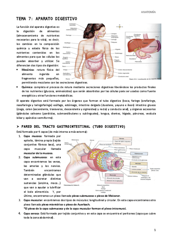 Miniatura del documento Tema-7.pdf