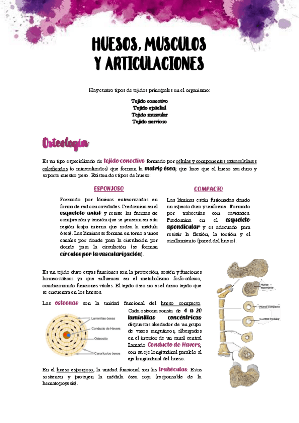 Miniatura del documento ARRANZ-TEMAS.pdf