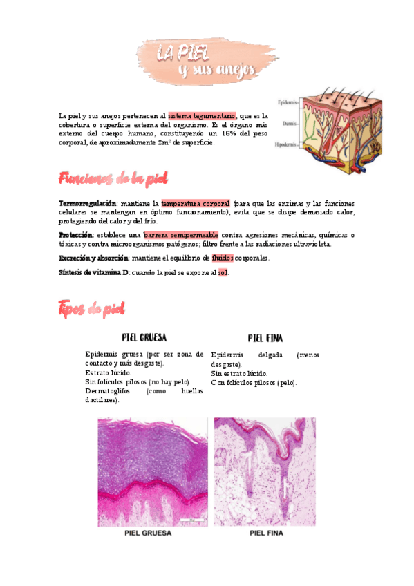 Miniatura del documento DANI-TEMAS.pdf