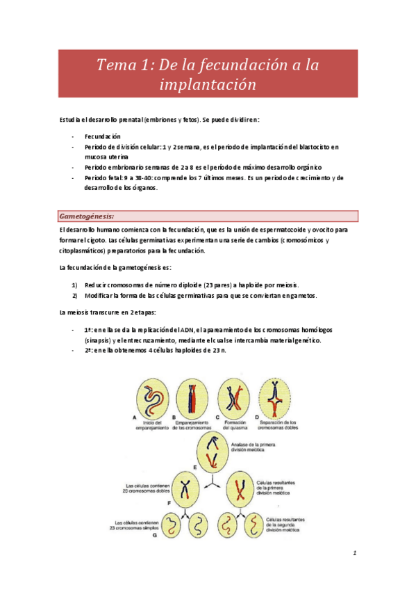 Miniatura del documento Embrio.pdf