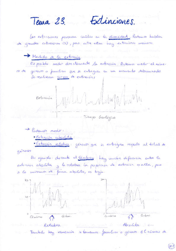 Miniatura del documento Tema 23 Extinciones.pdf