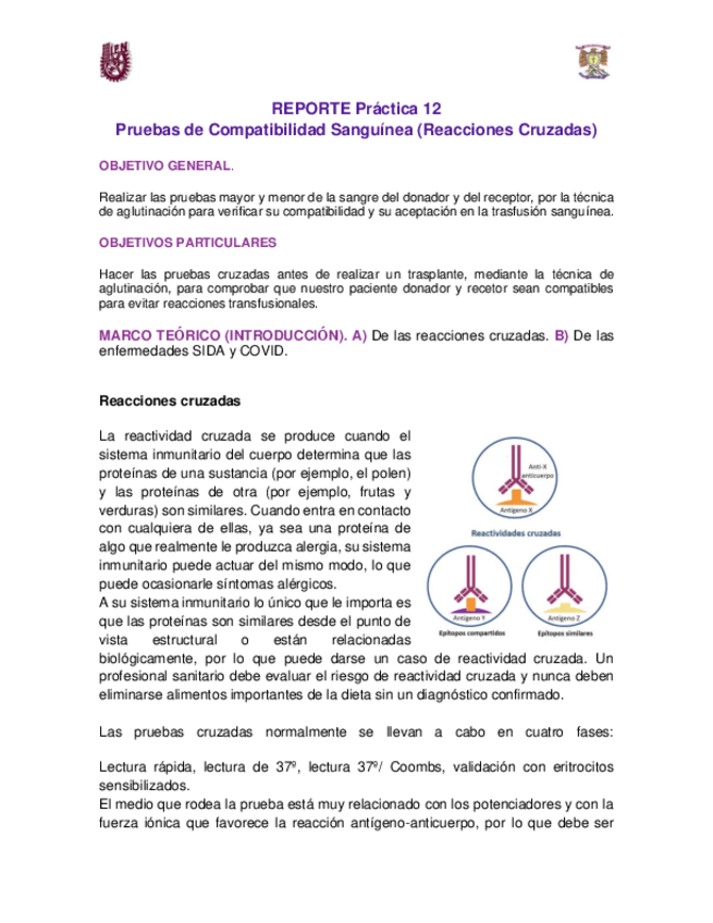 Miniatura del documento Practica-12.pdf
