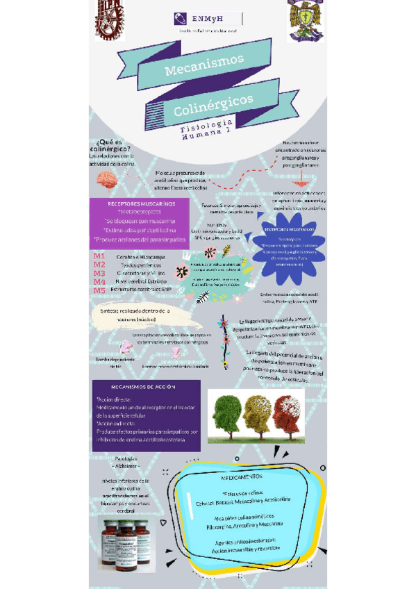 Miniatura del documento Colinergicos.pdf
