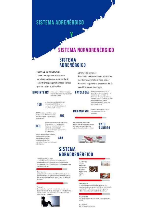 Miniatura del documento Adrenalina-y-noradrenalina.pdf