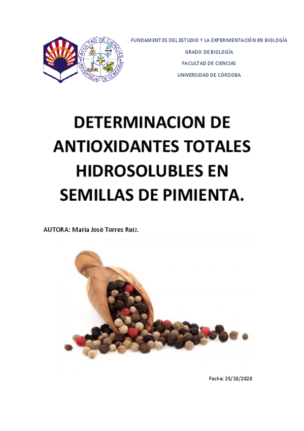Miniatura del documento informe.pdf