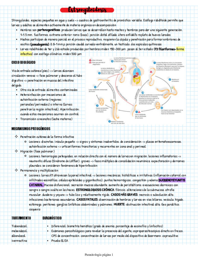 Miniatura del documento Estrongiloidosis.pdf