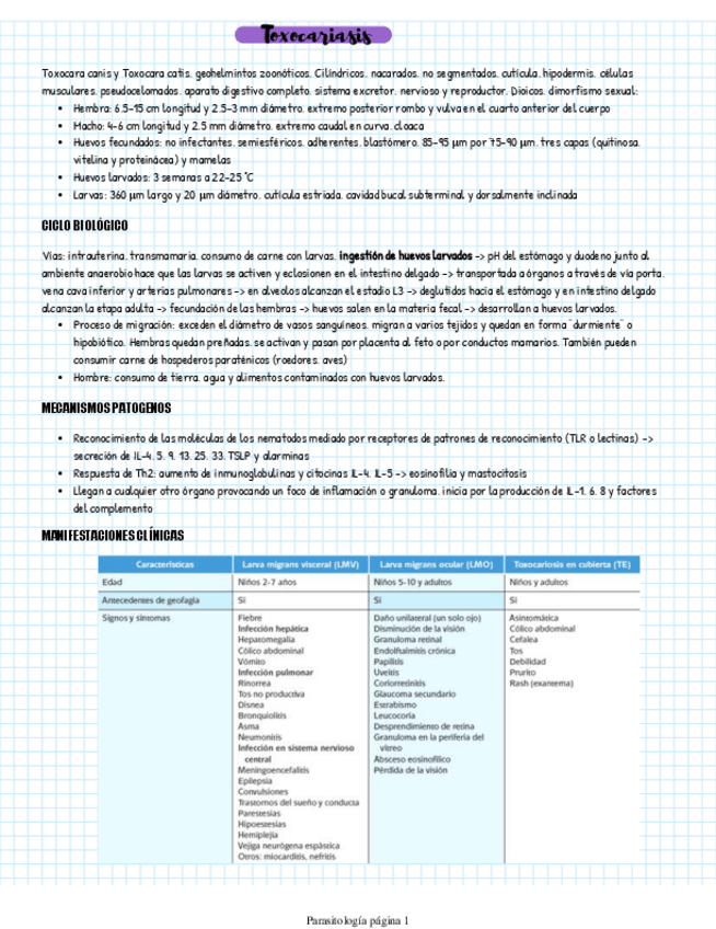 Miniatura del documento Toxocariasis.pdf