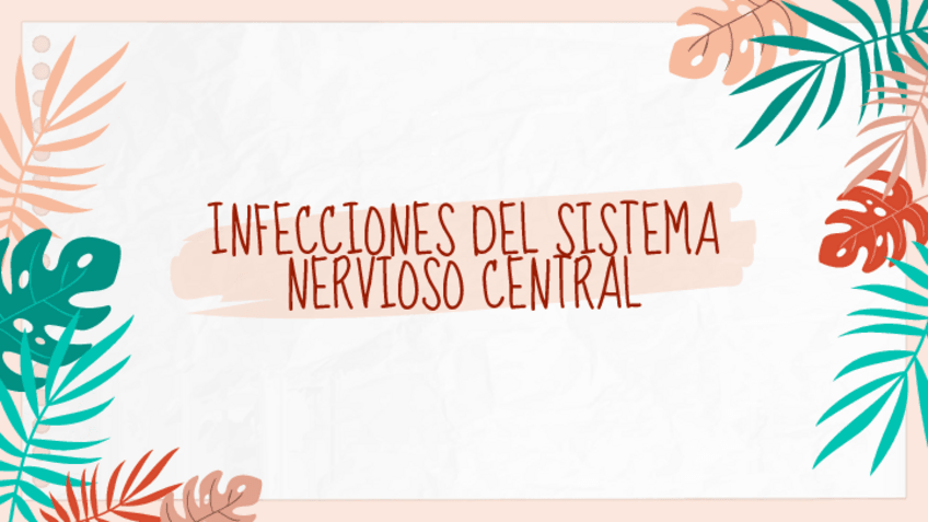 Miniatura del documento Bacterias-del-SNC.pdf