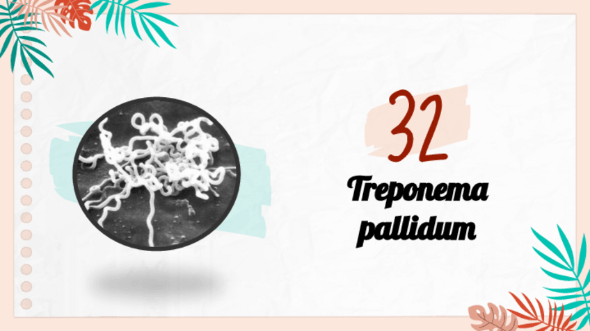 Miniatura del documento Treponema-pallidum.pdf