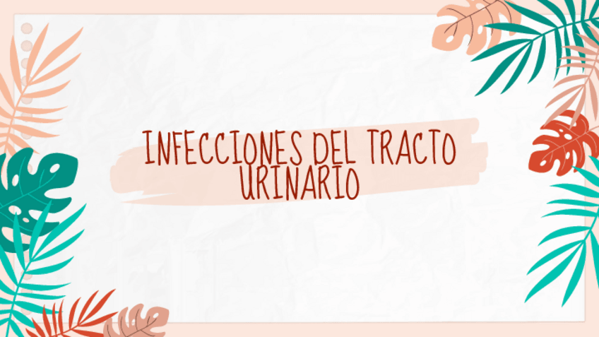 Miniatura del documento Bacterias-del-tracto-urinario.pdf