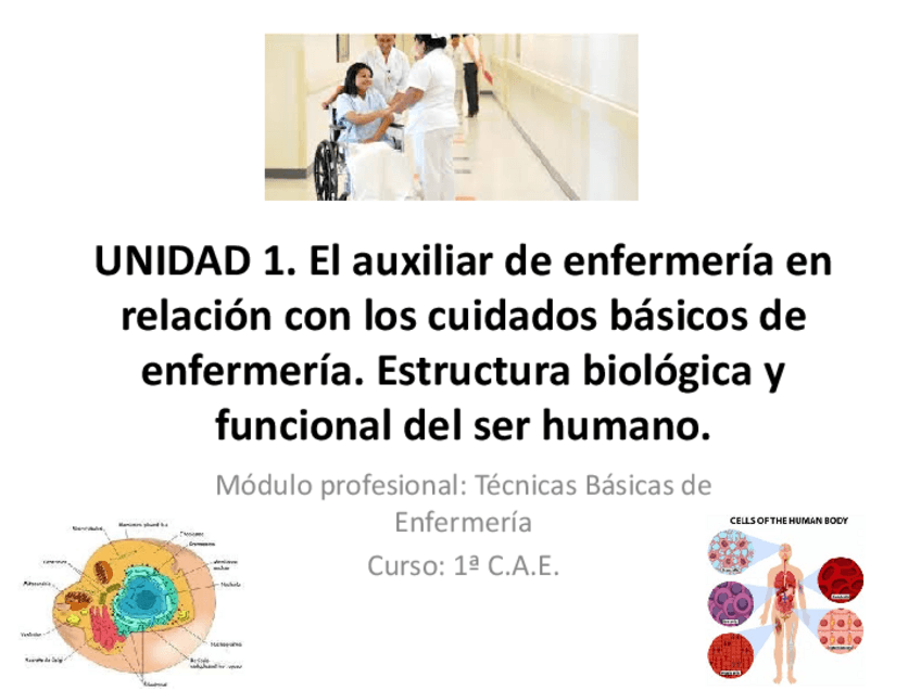 Miniatura del documento UNIDAD-1.pdf