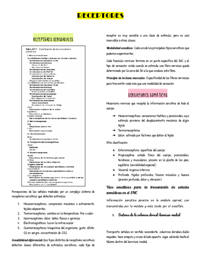 Miniatura del documento RECEPTORES.pdf