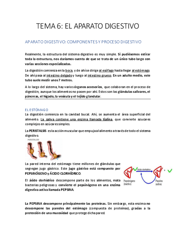 Miniatura del documento TEMA-6-FISIOLOGIA.pdf