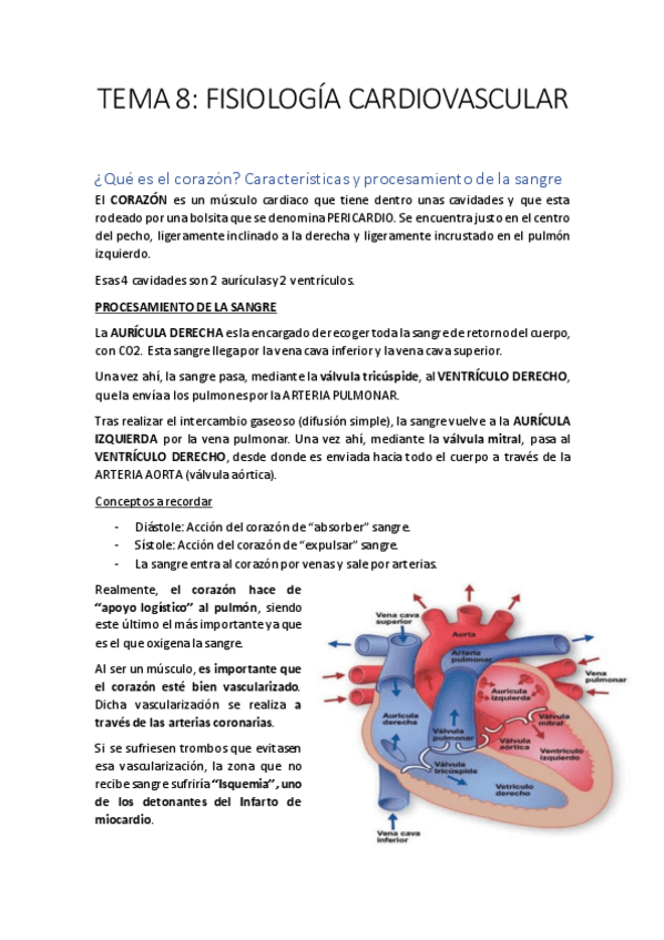 Miniatura del documento TEMA-8-FISIOLOGIA.pdf