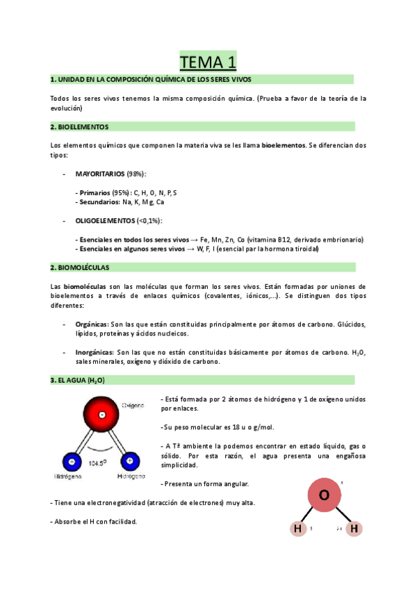 Miniatura del documento TEMA-1-Bioelementos-y-biomoleculas.pdf