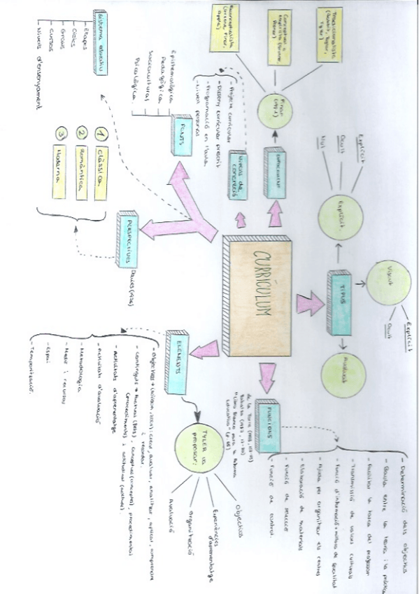 Miniatura del documento Mapa-conceptual-curriculum.pdf