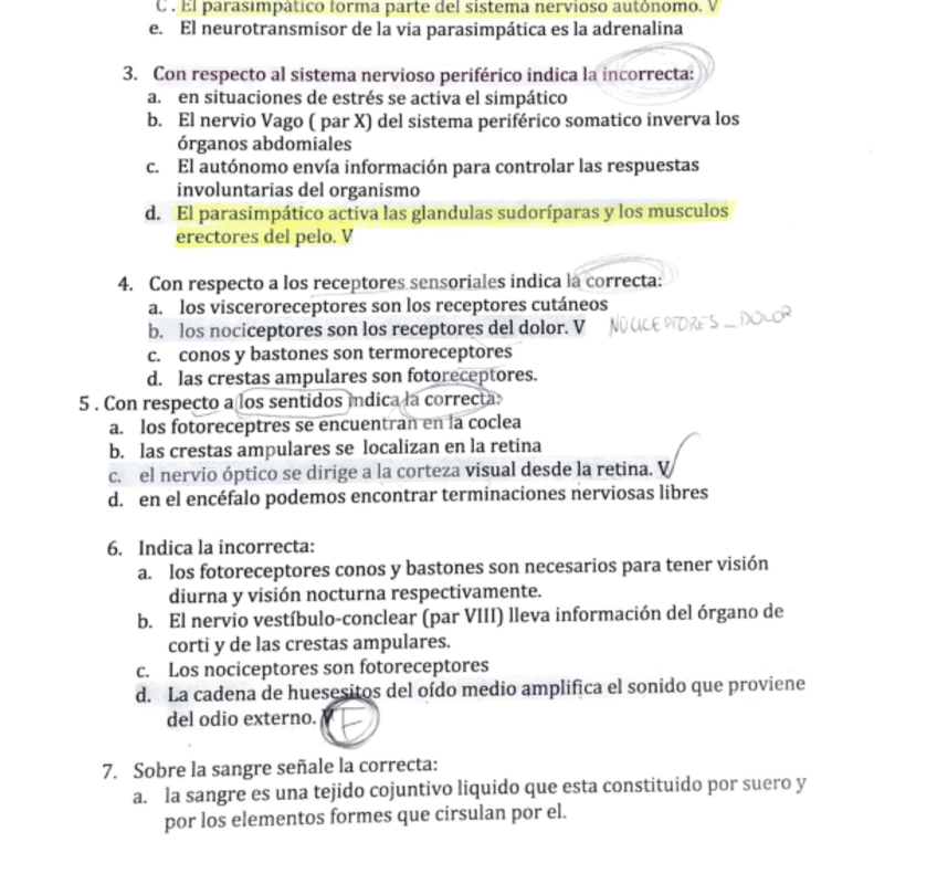 Miniatura del documento anatomia.pdf