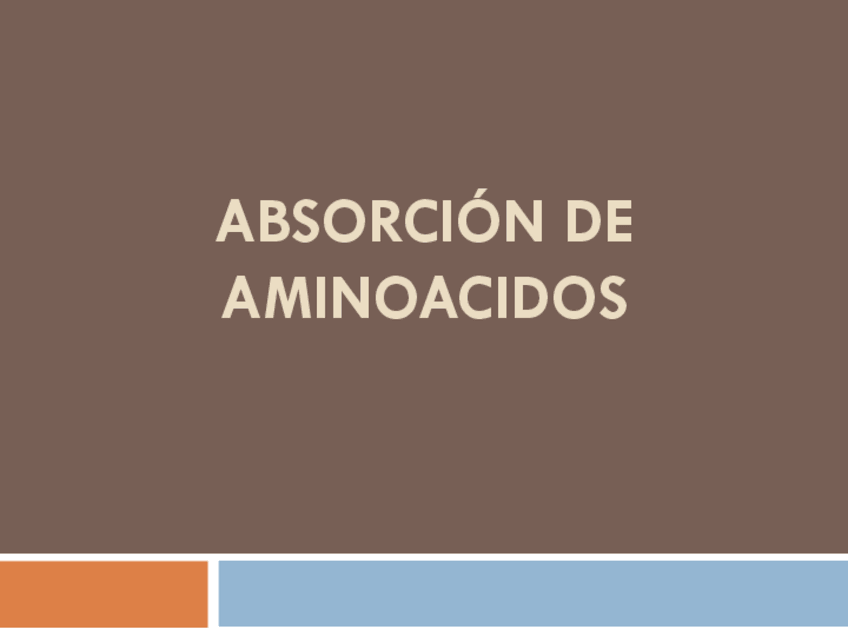 Miniatura del documento Absorcion-de-aminoacidos.pdf