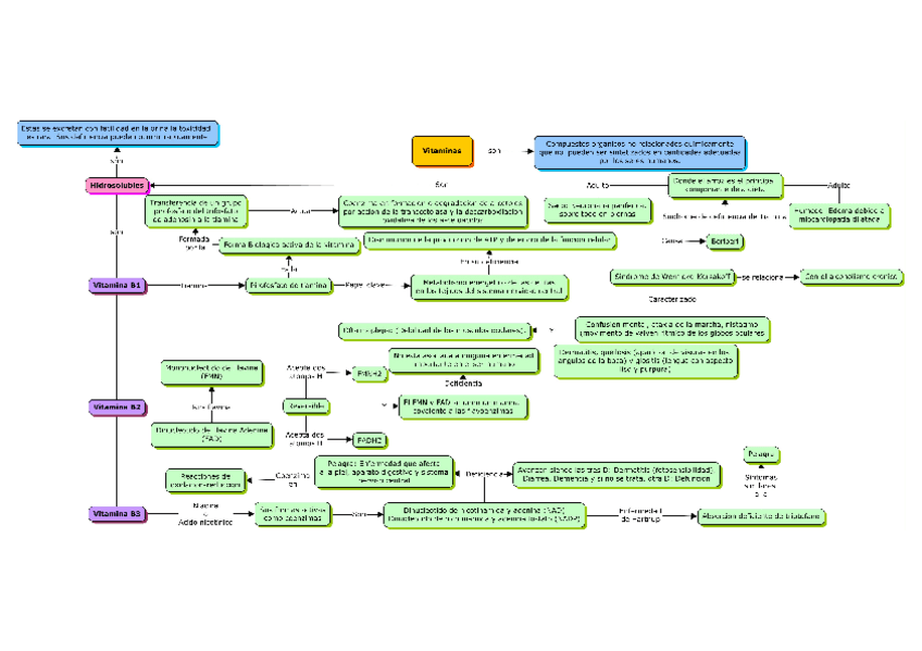 Miniatura del documento Vitaminas-Hidrosolubles.pdf