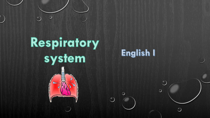 Miniatura del documento Respiratory-System.pdf